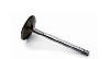 Intake Valve Big Block Chevy - image 1