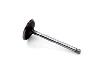 Exhaust Valve Big Block Chevy - image 1