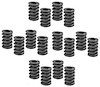 Valve Spring Kit - Dual Big Block Chevy LS6 - image 1