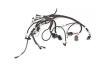 MEFI 3 ECU Wire Harness, Ram Jet 350 - image 1