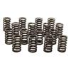Valve Spring Kit - Single Small Block Chevy CT350/350 and 350HO - image 1