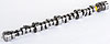 Hydraulic Roller Camshaft Small Block Chevy - image 2