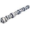 Hydraulic Roller Camshaft & Spring Kit - image 2