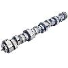 Hydraulic Roller Camshaft LS Stage 3 Cam - image 1