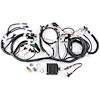 MEFI 4 ECU Harness Used In MEFI 4 Ram Jet 502 - image 1