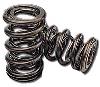 Valve Spring - Dual Big Block Chevy 572/620 HP - image 1