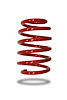 PED-220148 Coil Spring, Front, Ford Focus RS 2016-Present, Low - image 1