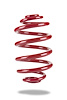 PED-7843 Coil Spring, Rear, Pontiac GTO 2004-2006, X-Drag