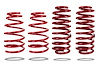 PED-804005 Spring Kit, Mustang S197, Low - image 1