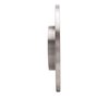 E-Line Blank Brake Rotor, 2003-2005 Jaguar, Position: Rear - image 4