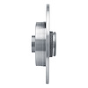 E-Line Blank Brake Rotor, 2003-2006 Renault, Position: Rear