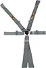 Platinum Series Harness 5-6 Point Wraparound/Bolt-In - image 1