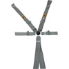 Platinum Series Harness 5-6 Point Wraparound/Bolt-In - image 1