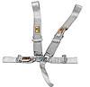 Platinum Series Harness 5-6 Point Wraparound/Bolt-In