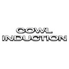 GMK403321570S Set Of 4 Emblems For One Car Cowl Induction Emblem Set for 1970-1972 Chevrolet Chevelle - image 1