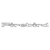 GMK4320130691 Chevrolet Camaro Fender Emblem for 1967-1969 Firebird [Use 2] - image 1