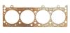 ICS Titan Head Gaskets - image 1