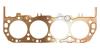 Titan Self-Sealing Copper Head Gaskets