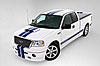Rocker Level Stripe Kit 2004-2008 F150 Super Cab - image 1