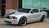 Extreme Lowering Spring Kit 2005-14 Mustang - image 2