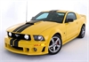 Stripe Kit Red Coupe w/ ROUSH Body Kit - image 1