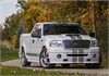 Windshield Banner White - image 1