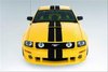 Stripe Kit Competition Grey Coupe w/ ROUSH Body Kit - image 2