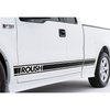 Rocker Level Stripe Kit 2004-08 F150 Super Cab - image 1