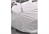 Car Cover Silverguard Mustang - image 1