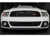 Fog Lamp Pockets w/ Lights Lower - image 3