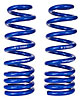 4x2 Coil Spring Set - Ft pair 04 F150 - image 1