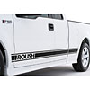 Rocker Level Stripe Kit 2004-08 F150 Extended Cab - image 1