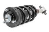 502063 M1 Adjustable Leveling Struts, Monotube, 0-2", Chevy/GMC 1500 (14-18) - image 3