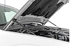 HOOD STRUTS FRONTIER - image 1