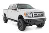 SRB091491A HD2 Aluminum Running Boards, Super Crew Cab, Ford F-150 2WD/4WD (2009-2014) - image 2