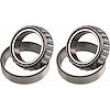 Spool Bearing Kit GM 8.5" 10 Bolt - image 1