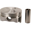 Cast Piston Set w/Prem. Rings - image 2