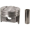 Cast Piston Set w/Prem. Rings - image 2