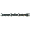 Performance Camshaft - image 1
