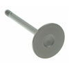 Intake Valve AMC/Jeep 5.9L/6.6L - image 1