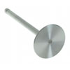 Valve Intake - image 1