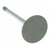 Valve Intake - image 1