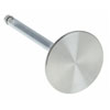Valve Intake - image 1