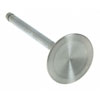 Valve Intake - image 1