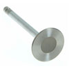 Valve Intake - image 1