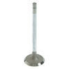 Valve Intake - image 2