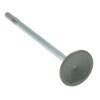 Valve Intake - image 1