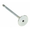Valve Exhaust - image 1