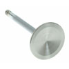 Valve Intake - image 1