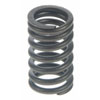 Valve Spring - image 1